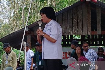KPH : Tanaman kopi ideal untuk pengelolaan hutan lestari