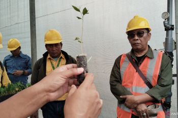 Mitra APP Group lakukan pengelolaan HTI berkelanjutan dan manajemen penanganan karhutla terintegrasi