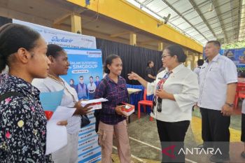 Pemprov Papua gelar job fair 650 lowongan kerja