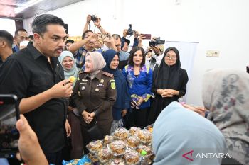 Menteri UMKM minta Kalsel bantu akses usaha pada kalangan disabilitas