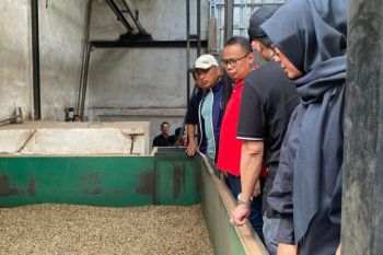 BKHIT Sumsel fasilitasi  ekspor kopi Kabupaten Lahat