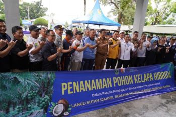 PLN UID Sumbar kolaborasi bersama TNI AU dan Forum BUMN laksanakan penghijauan di Lanud Tabing