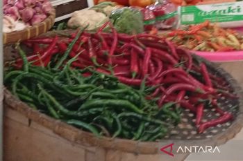 Dinperindag:  Stok bahan pangan di Banyumas aman hadapi masa paceklik