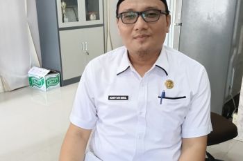 Produksi jagung Pasaman Barat capai 79.860 ton