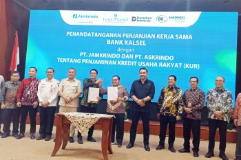Bank Kalsel gaet Jamkrindo dan Askrindo kerja sama penjaminan KUR