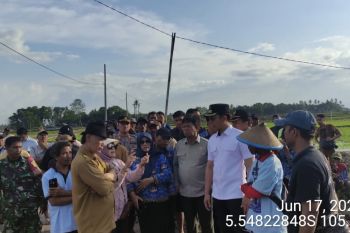 1.019 hektare lahan pertanian di Lampung jadi contoh "smart farming"