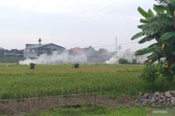 Hati-hati! Ini bahayanya asap hasil bakar sampah