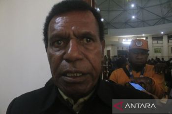 Lembaga Masyarakat Adat Jayawijaya ajak warga di 328 kampung jaga honae