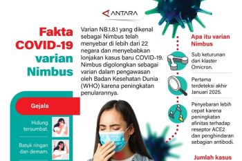 Fakta COVID-19 varian Nimbus