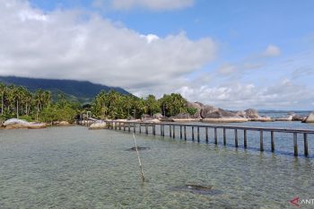Sekda: Konservasi laut di Kepri perlu dukungan pendanaan berkelanjutan