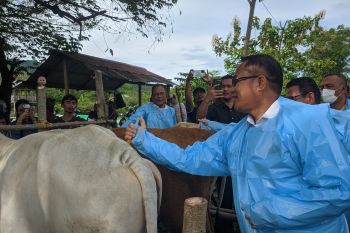 Pemkab Sigi rutin lakukan pemeriksaan kesehatan hewan ternak
