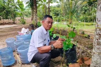 50 persen penghuni Lapas Lubuk Basung dari kasus narkoba