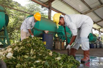 IMIP ubah 182 Ton Sampah Jadi Kompos dan Pakan Ikan