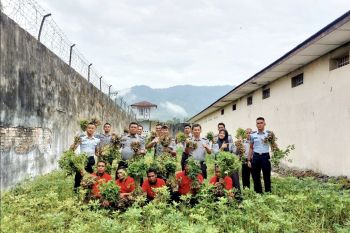 Rutan Lubuk Sikaping panen kacang tanah dukung ketahanan pangan
