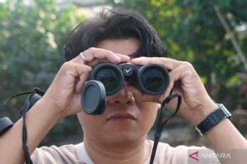 NTB berpeluang menjadi destinasi ekowisata pengamatan burung