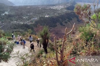 Pembalakan liar dominasi hasil operasi Gakkum KLHK Sulawesi