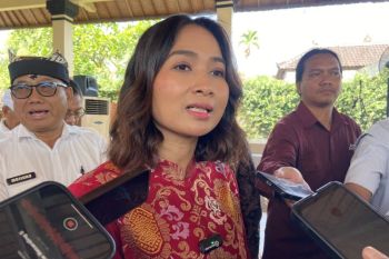 Wamenpar RI bantu kapal cepat Banyuwangi-Lovina jika dermaga siap