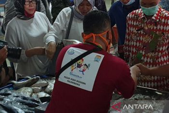 Pemkot Palembang optimalkan peran duta gemar makan ikan ajak warga tingkatkan konsumsi