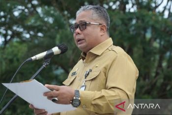 Sekda: Pemkab perlu manuver untuk capai kinerja