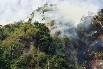 Kebakaran lahan di Limapuluh Kota, pemadaman di puncak terkendala akses