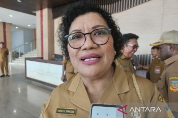 Pemprov: UMKM di Papua manfaatkan pasar modal upaya alternatif pendanaan