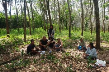 Gubernur Sumsel optimalkan peran penyuluh pertanian bangkitkan jiwa usaha petani