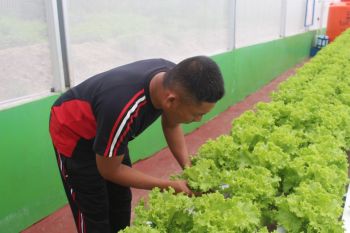 Satbrimob Polda Sulteng kembangkan pekarangan dukung ketahanan pangan