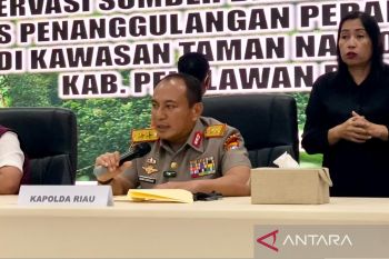 Tokoh adat jual kawasan Tesso Nilo dengan dalih tanah ulayat