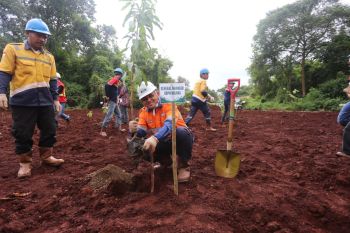 PT ANTAM Kolaka gelar penanaman pohon dan bakau dalam rangka HLH  sedunia