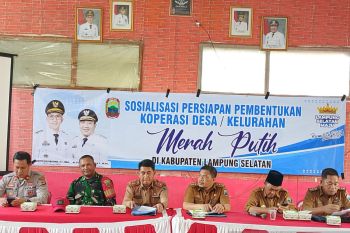 Pemkab Lampung Selatan pastikan 260 Kopdes Merah Putih telah terbentuk