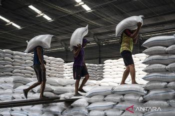 Indonesia's rice stock set to hit record 3.5 mln tons in 2025