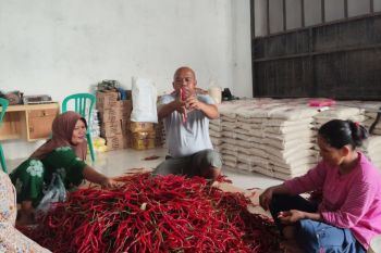BRI salurkan pembiayaan kepada koperasi penyuplai bahan pangan MBG