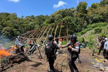 Bareskrim Polri bongkar keberadaan 25 hektare ladang ganja di Aceh