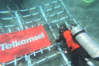 Telkomsel Poin dan BenihBaik ajak pelanggan dukung konservasi terumbu karang di Pantai Malalayang