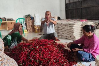 BRI Biayai Koperasi Pangan untuk Perkuat Ketahanan Gizi Nasional
