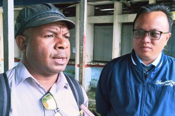 Pengusaha Papua manfaatkan bantuan bibit ayam usaha ternak