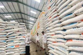 Bulog Makassar: Serapan beras telah melampaui target 43.913 ton