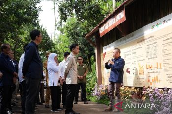 Wapres Gibran Dukung Hilirisasi dan Branding Kopi Ijen