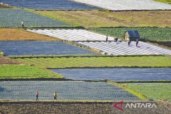 Sebanyak 94 desa di Lombok Tengah nikmati dana desa, 48 masih menunggu