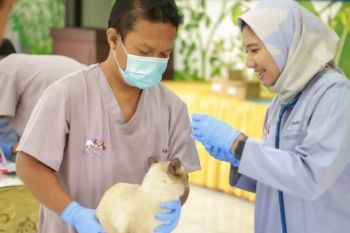 Cegah sebaran, Pemkot Madiun gelar vaksinasi rabies gratis