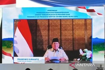 Prabowo nilai energi surya bisa wujudkan swasembada energi