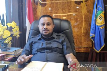 DPR harap Kementerian ESDM terus hadirkan listrik daerah 3T Papua