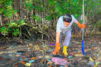 HUT ke-23 PLN UIW NTB, Pokdarwis Jerowaru gelar aksi bersih pesisir