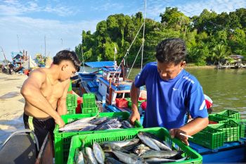 Tangkapan ikan nelayan di PPI Aceh Jaya capai 300 ton lebih per bulan
