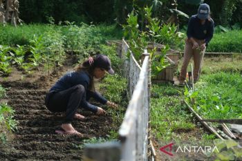 Pembinaan keterampilan kerja WBP di Lapas Perempuan