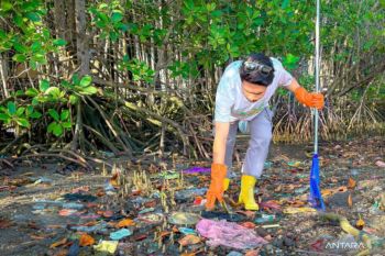 PLN bersama Pokdarwis bersih pantai dan tanam mangrove di Lotim