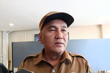 Pusat anggarkan dana pembangunan untuk Dinas PUPR Papeg Rp500 miliar