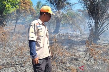 BPBD Mukomuko turunkan personel bantu padamkan kebakaran lahan gambut