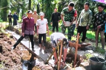 Pemkab Pasaman Barat dorong nagari bangun jalan usaha tani