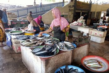 Mataram alokasikan Rp600 juta bangun pasar ikan higienis